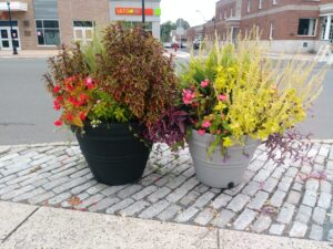 Field Notes: Planters