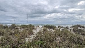Downtown &ndash; Sebastian, Florida (2024)