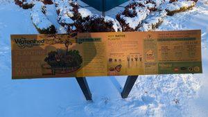 Rain Garden – Hopewell, New Jersey